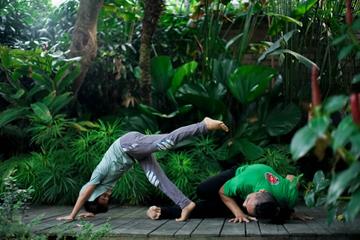 Capoeira