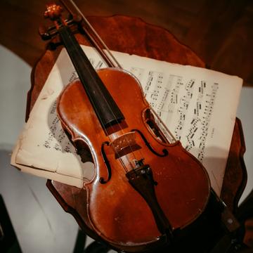 Violin
