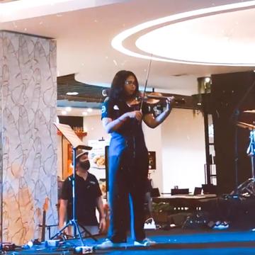 Violin